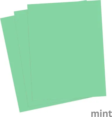 Immagine prodotto di cartone folia DIN A4 220 g/m² 100 fogli menta