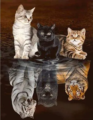 Produktbild von DIY Diamant Malerei Reflexion Katze 5d Diamond Painting Voll Handgemachtes Klebebild Mit Digitale Sets Schöne Stickerei Malerei Kreuzstich Wanddekoration 30*40CM