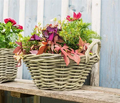 Image de Jardinière "Koboo Grey" Ø 43x18 cm grande, en rotin, ronde, grise, corbeille à plantes, pot de fleurs, pot de fleurs pour l'extérieur, bac à fleurs