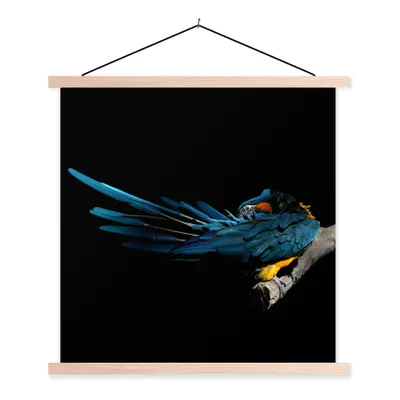 Produktbild von MuchoWow® Textilposter Vogel - Federn - Zweig - Schwarz 60x60 cm mit holzfarbenen Rahmen - Wanddekoration