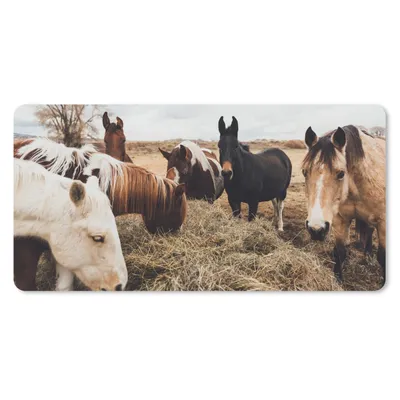 Produktbild von MuchoWow® Schreibtischunterlage Tiere - Pferd 80x40 cm - XXL Mauspad - Gaming Mauspad