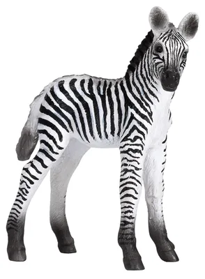 Obrázok produktu pre Mojo Fun Zebra Foal, 3 rok / roky, Wildlife, Čierna, Biela, Polyvinylchlorid (PVC)