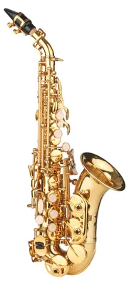 Produktbild von Sopransaxophon in B, Goldlackbeschichtung, Blechkonstruktion, mit Instrumentenkoffer, Mundstück, Halteriemen, Reinigungsstoff und Bürste, geeignet für Musiker und Anfänger
