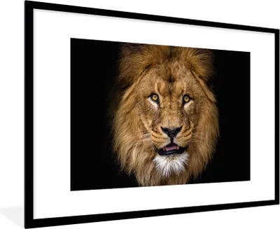 Produktbild von MuchoWow® Gerahmtes Poster Löwe - Porträt - Schwarz - Tiere 90x60 cm - Poster mit Schwarzem Bilderrahmen Wandposter Rahmen Foto Bilder - Wanddekoration - Fotos