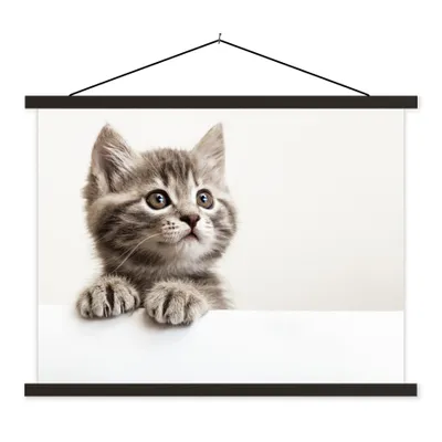 Produktbild von MuchoWow® Textilposter Katze - Grau - Tiere 150x113 cm mit schwarzem Rahmen - Wohnzimmer