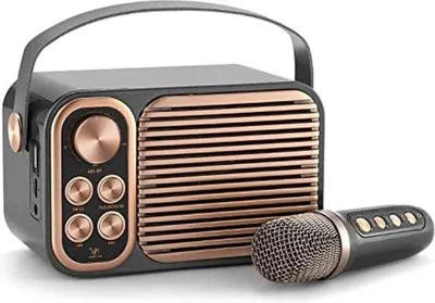 Produktbild von Karaoke-Set für Erwachsene - 2 drahtlose Mikrofone - Karaoke-Set mit Mikrofonsatz