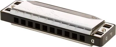 Productafbeelding van Famanu diatonische mondharmonica in D-majeur met etui - Blues harmonica voor beginners