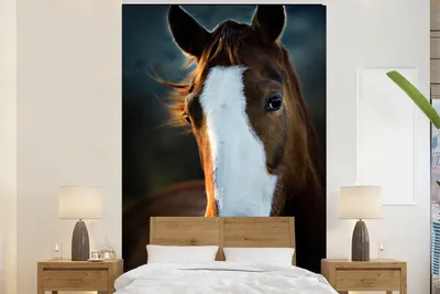 Produktbild von MuchoWow® Fototapete für Wohnzimmer oder Schlafzimmer Wandtapete Vinyl Motivtapete Pferd - Kopf - Licht - 170x260 cm - Wohnzimmertapete