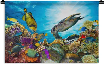 Produktbild von MuchoWow® Wandteppich Wandbehang Schildkröte - Meer - Koralle 120x80 cm Tapisserie Dekoration Wandtuch - Wanddekorationen - Wandtücher