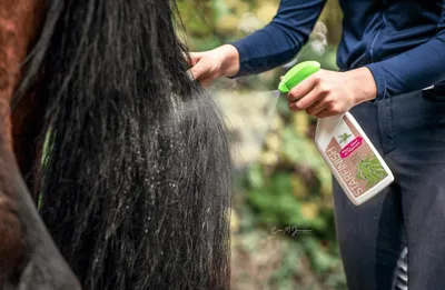 Produktbild von Bense & Eicke Mähnenspray StarFinish Glanzspray
