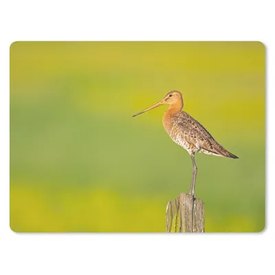 Produktbild von MuchoWow® Mauspad Mousepad Vogel - Tiere - Uferschnepfe - Pfahl - Grün 23x19 cm - Mousepads - Maus Mat - Pad - Mausunterlage - Schreibtischunterlage - Mauspad