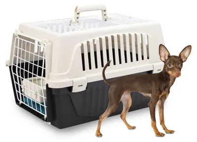 Produktbild von Ferplast Transportbox Katze, Hundetransportbox kleine Hunde und Katzen bis max.