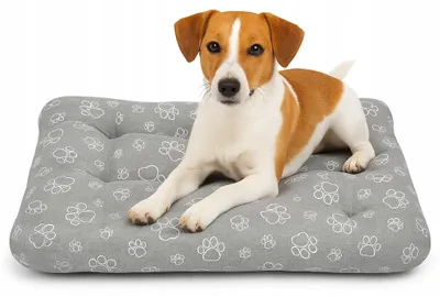 Produktbild von Superkissen24 CLAW Hundekissen wasserdicht robust und weich
