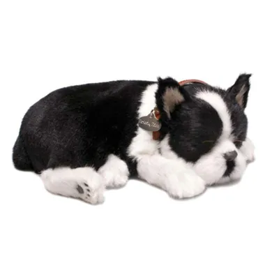 Produktbild von Perfect Petzzz 96514 Boston Terrier