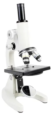 Image de Microscope, grossissement de 40 à 2400x, fonction support pour téléphone, 2400x, 2400x