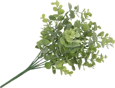 Produktbild von Kunstliche Blumen Eukalyptuszweig - 33 cm - grun - Bundel/Strauschen - Kunstliche Seidenblumen