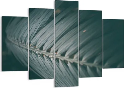 Produktbild von Bild auf Leinwand - Leinwandbild - 5 Teile - Blatt Palme exotisch - 150x100cm - Wand Bild - Wanddeko - Wandbilder - Leinwanddruck - Bilder - Wanddekoration - Leinwand bilder - EA150x100-4907