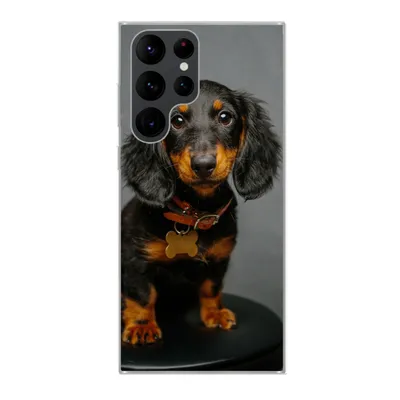 Produktbild von MuchoWow® Handyhülle Schutzhülle Hülle für Samsung Galaxy S22 Ultra Studiofoto eines Dackelwelpen Silikon Softcase Handy Hülle - Abbildung