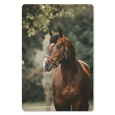 Produktbild von MuchoWow® Mauspad Mousepad Pferd - Äste - Porträt 40x60 cm - Mousepads - Maus Mat - Pad - Mausunterlage - Schreibtisch Accesoire