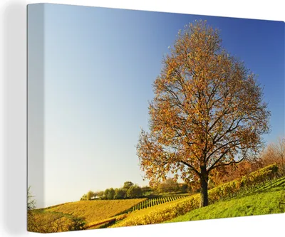 Produktbild von OneMillionCanvasses® - Leinwandbilder - 150x100 cm, Kastanienbaum in einer Weinberglandschaft, Wandbilder Kunstdruck Wanddekoration