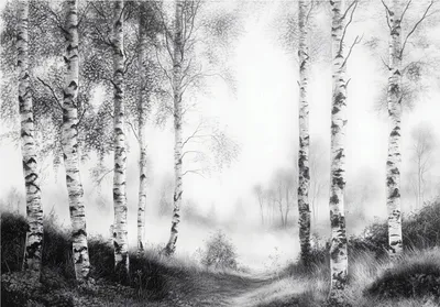 Produktbild von Fototapete Wald - Natur Bäume - 400x280 cm - inklusive kleister - Vlies Tapete - Vliestapete Wohnzimmer Schlafzimmer Küche Modern Wandtapete