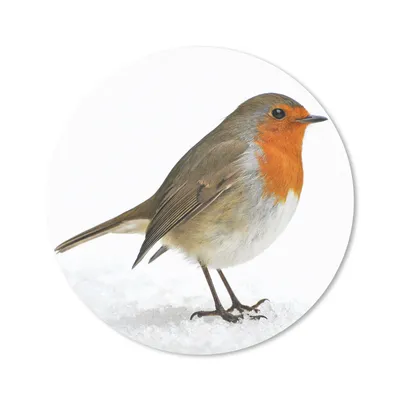 Produktbild von MuchoWow® Mauspad Mousepad Rotkehlchen - Schnee - Weiß 50x50 cm - Mousepads - Maus Mat - Pad - Mausunterlage - Vinyl