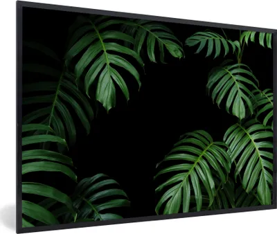 Produktbild von MuchoWow® MuchoWow® Gerahmtes Poster Dschungel - Pflanzen - Monstera - Jungen - Mädchen - Kinder 90x60 cm - Poster mit zchwarzem Bilderrahmen - Fotorahmen - Foto-Plakat