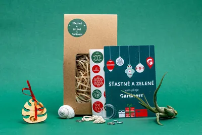 Obrázok produktu pre Gardners Vánoční dárková sada - Šnek "Vyrob si sám" s Tillandsií Caput medusae
