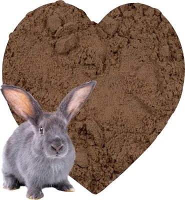 Produktbild von Petigi Kaninchen Buddelsand, 25 kg, für Buddelkisten von Kaninchen, Hasen, Chinchilla, für sensible Pfoten geeignet, frei von chemischen Zusätzen und Verunreinigungen, lehmfrei