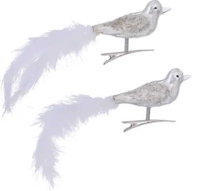 Produktbild von Boltze Home Bird auf Clipglas 2er Set Silber