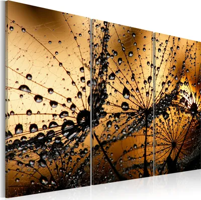 Image de Tableau mural moderne 030210- 13 (120x80) - 3 pièces Photographie sur toile intissé Photo Décoration murale Tableaux Impression artistique Nature