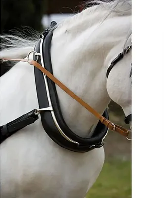 Zdjęcie produktu dla Hispano Hipica Ogłowie Driving Collar Czarne 48 cm Czarne 48 cm