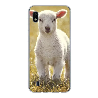 Produktbild von MuchoWow® Handyhülle Schutzhülle Hülle für Samsung Galaxy A10 Lamm - Gras - Sonne Silikon Softcase Handy Hülle - Schutzhülle