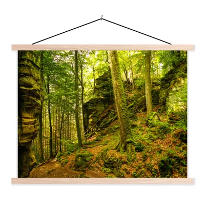 Produktbild von MuchoWow® Textilposter Bäume - Stein - Wald - Natur - Pflanzen 60x45 cm mit holzfarbenen Rahmen - Bild