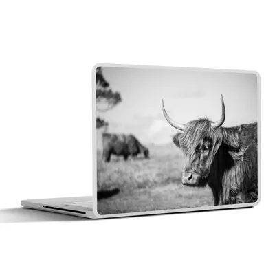 Produktbild von MuchoWow® Laptop Aufkleber Sticker Cover Schottischer Highlander - Tiere - Schwarz - Weiß 36.5x27.5 cm - Laptop-Sticker