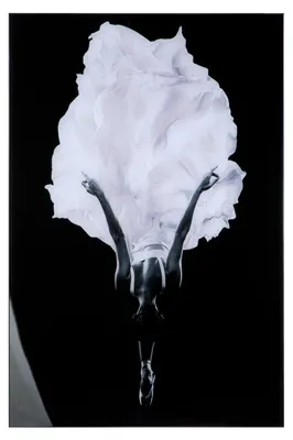 Produktbild von Casablanca by Gilde Leinwandbilder Bild Ballerina H. 90 cm,38195