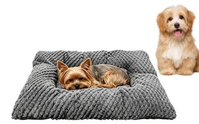 Image de Panier pour chat avec bords surélevés et coussin confortable