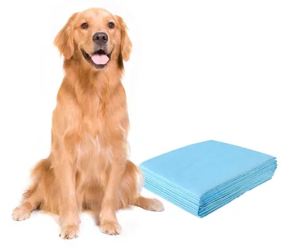 Productafbeelding van Trainingmatten voor puppy's, 75x90 cm, 100 stuks, waterdicht, 5-laags