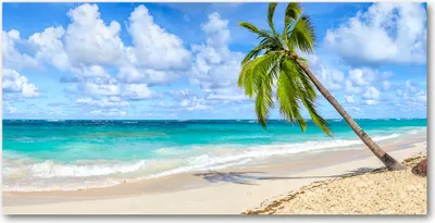 Produktbild von Tulup® Glas-Bild - 100x50 -Wandkunst - Wandbild hinter gehärtetem Sicherheitsglas  - Landschaften - Tropischer Strand - Grün