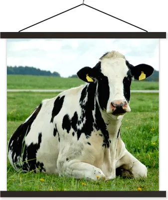 Produktbild von MuchoWow® Textilposter Kuh - Gras - Tiere - Berg 120x120 cm mit schwarzem Rahmen - Aufhängungsset