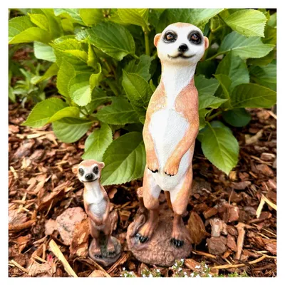 Produktbild von Erdmännchen Deko Figuren Set für den Garten - Wetterfeste Gartenfiguren aus Kunstharz (29 cm & 15 cm)