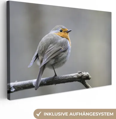 Produktbild von OneMillionCanvasses® - Leinwandbilder - 150x100 cm, Rotkehlchen - Zweig - Winter, Wandbilder Kunstdruck Wanddekoration