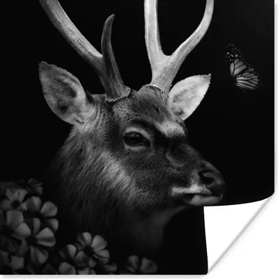 Produktbild von MuchoWow® Poster Tiere - Hirsche - Dschungel - Schwarz - Weiß 100x100 cm - Babyzimmer