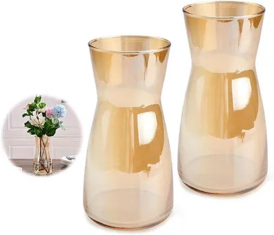 Image de Lot de 2 vases en verre ambré pour tulipes