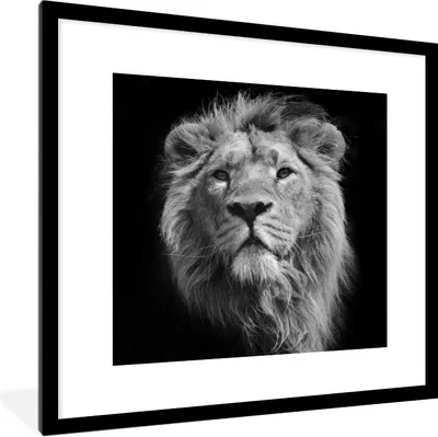 Produktbild von MuchoWow® Gerahmtes Poster Löwe - Porträt - Schwarz - Weiß 40x40 cm - Poster mit Schwarzem Bilderrahmen Wandposter Rahmen Foto Bilder - Poster - Plakat im Rahmen