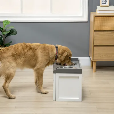 A golden retriever dog is drinking from a raised dog bowl station in a room with a window and a dresser.
