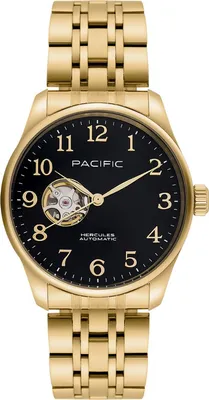 Obrázok produktu pre Hodinky Pacific Pánske zlaté Pacific-PC00924