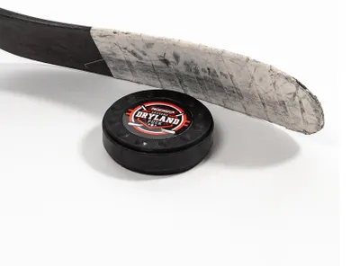 Produktbild von Hockeyshot Extreme Dryland Puck