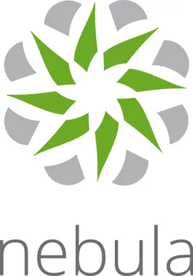 Productafbeelding van Zyxel Nebula Professional Pack - Abonnementlicentie (1 jaar) - voor 1 apparaat