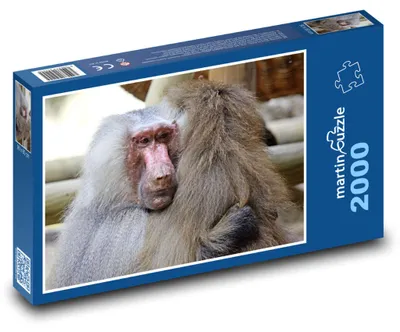 Zdjęcie produktu dla Puzzle 2000 Pawian w spokoju - martinpuzzle